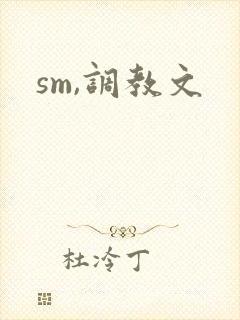 sm,调教文