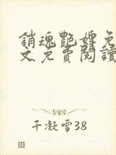 销魂艳婢免费全文免费阅读 小说在线阅读