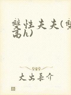 双性夫夫(双性高h)