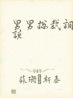 男男总裁调教小说封面