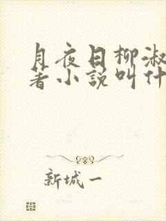 月夜日柳淑兰原著小说叫什么名字