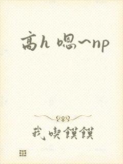 高h 嗯~np