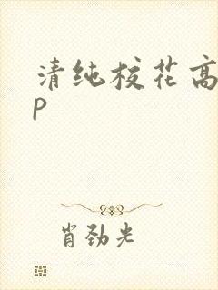 清纯校花高hnp