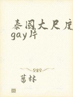 泰国大尺度真做gay片