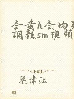 全黄h全肉强迫调教sm视频封面