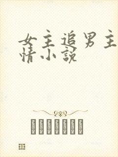 女主追男主的言情小说