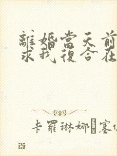 离婚当天前夫跪求我复合在线