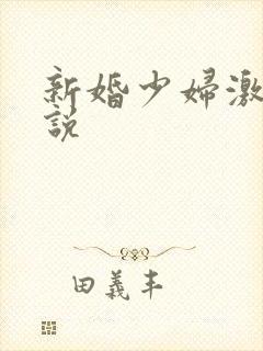 新婚少妇激情小说
