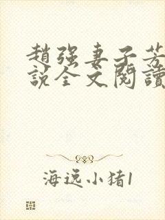 赵强妻子芳姨小说全文阅读