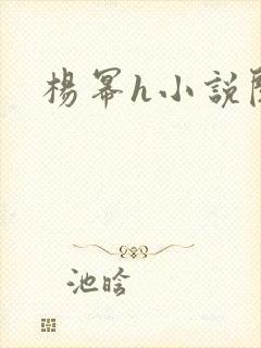 杨幂h小说阅读封面