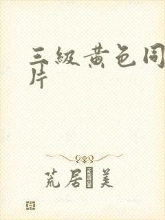 三级黄色同性恋片封面