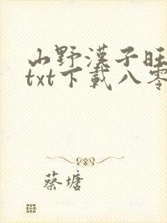 山野汉子旺夫妻txt下载八零电子书