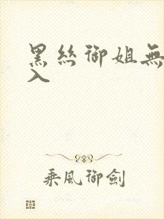 黑丝御姐无套插入