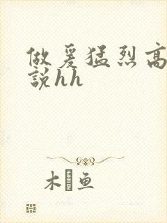 做爰猛烈高潮小说hh封面