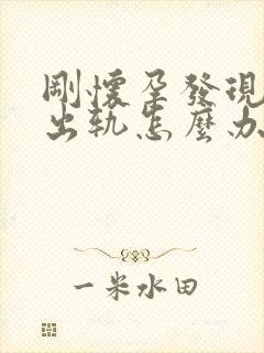 刚怀孕发现老公出轨怎么办