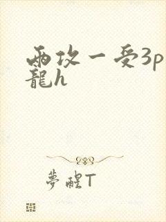 两攻一受3p双龙h
