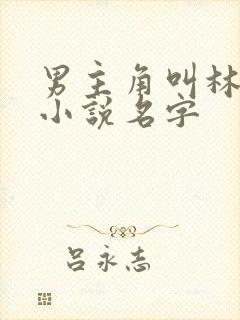 男主角叫林青的小说名字
