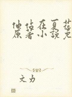 他站在夏花绚烂原著小说免费阅读