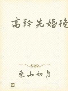 高干先婚后爱