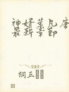 神婿叶凡唐若雪最新章节