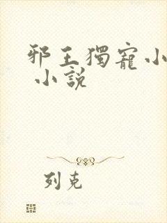 邪王独宠小医妃 小说封面