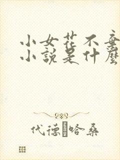 小女花不弃原著小说是什么封面