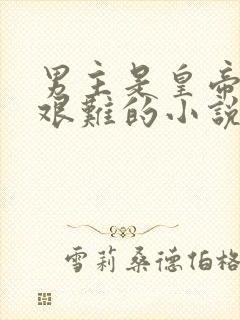男主是皇帝子嗣艰难的小说