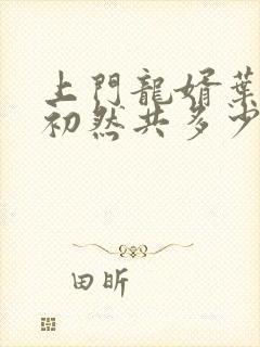 上门龙婿叶辰萧初然共多少章封面