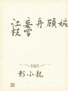 江妄舟顾婉禾宋枝雪
