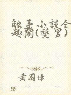 触手小说全文笔趣阁(双男)