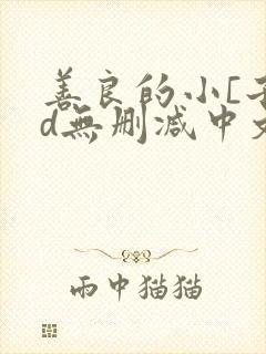 善良的小[子hd无删减中文封面