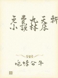 免费九天斩神诀小说林辰
