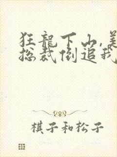 狂龙下山,美女总裁倒追我全本免费下载