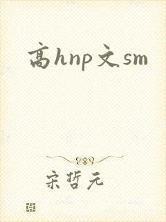 高hnp文sm