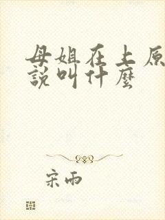 母姐在上原著小说叫什么