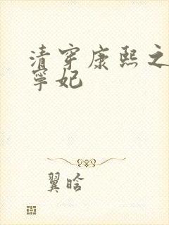 清穿康熙之武氏宁妃