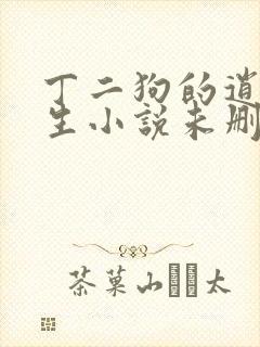 丁二狗的逍遥人生小说未删减版