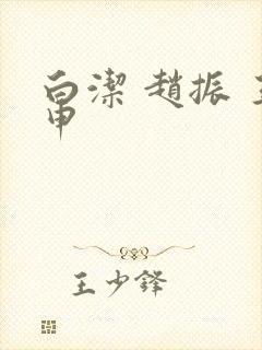 白洁 赵振 王申