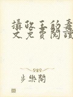 摄政王的毒妃全文免费阅读