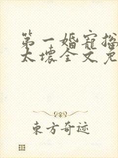 第一婚宠总裁别太坏全文免费阅读
