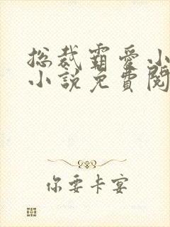 总裁霸爱小娇妻小说免费阅读