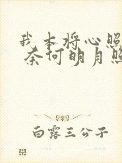 我本将心照明月 奈何明月照沟渠的意思