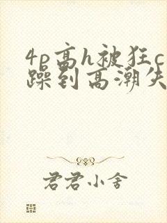 4p高h被狂c躁到高潮失禁文