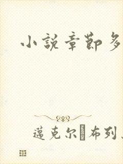 小说章节多少字封面