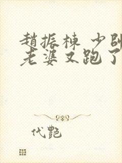 赵振栋 少帅你老婆又跑了封面