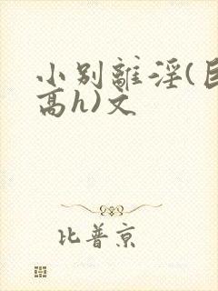 小别离淫(巨肉高h)文