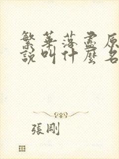 繁华落尽原著小说叫什么名字