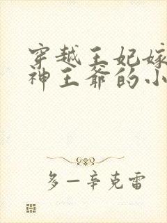 穿越王妃嫁给战神王爷的小说