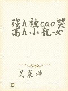 强h被cao哭高h小龙女