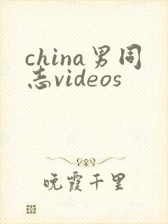 china男同志videos